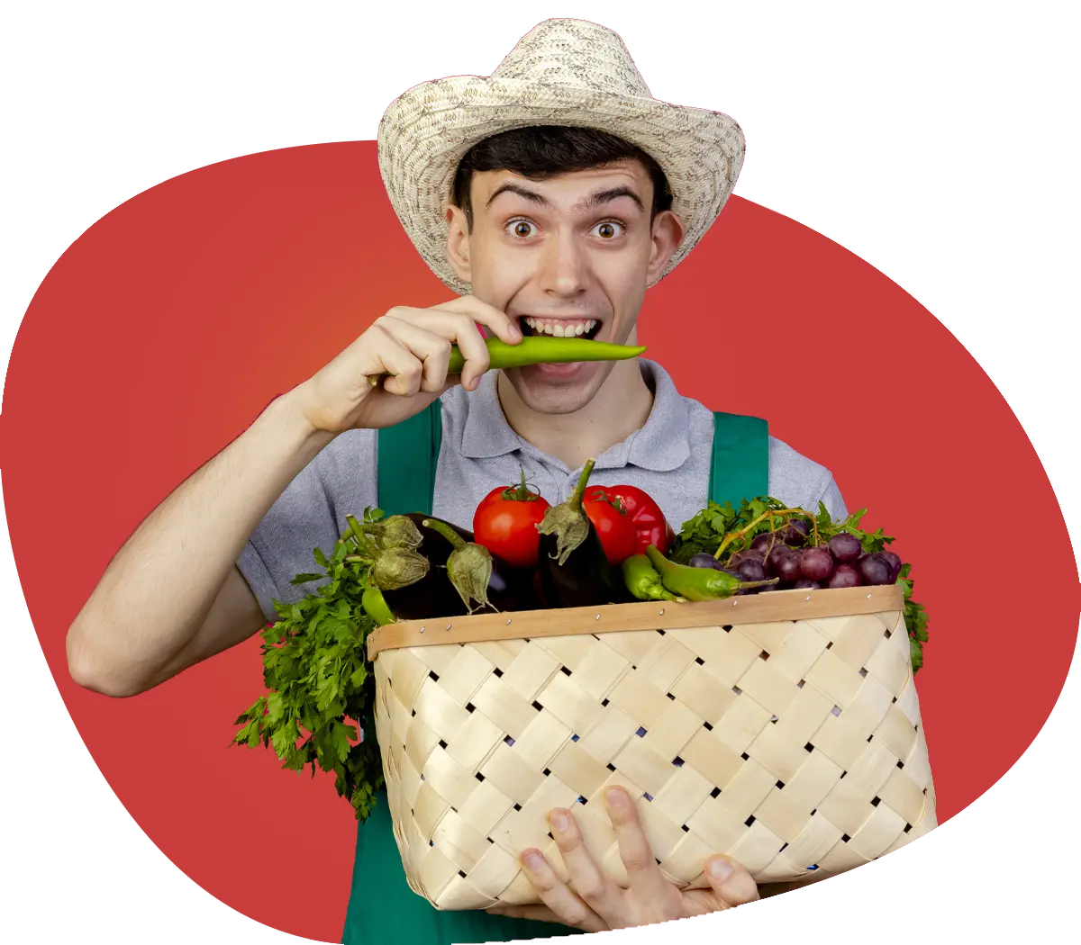 Jeune homme jardinier tablier chapeau tenant panier plein legumes