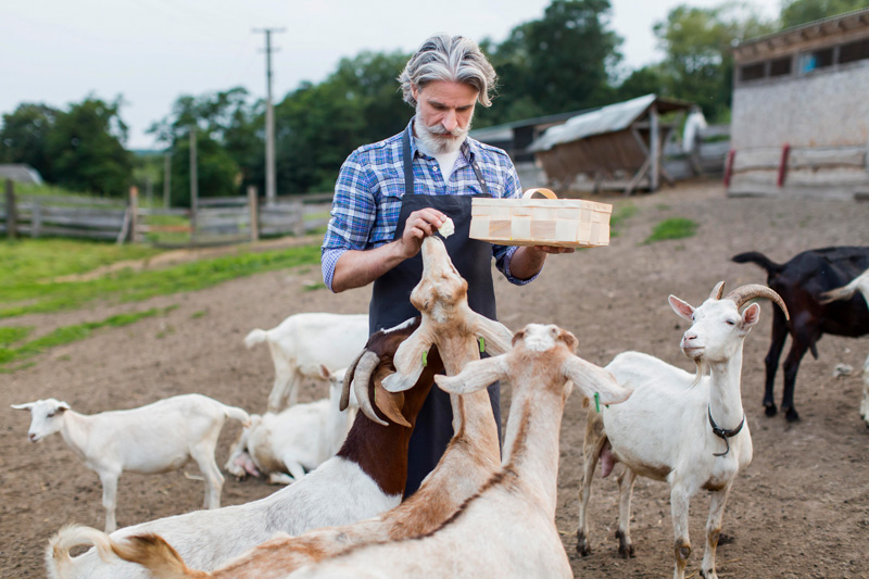 Photo de Fromagerie du Terroir