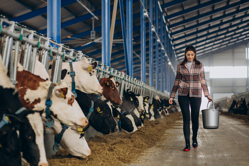 Photo de La Ferme Gourmande