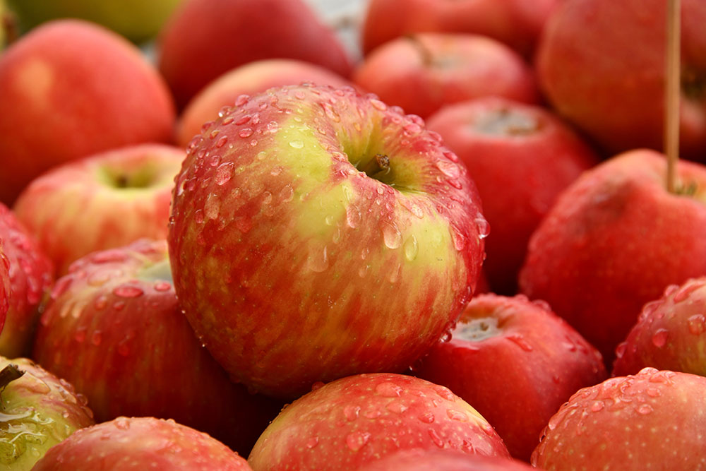 Photo de Pommes