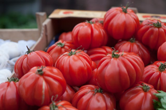 Photo de Tomates Coeur de boeuf
